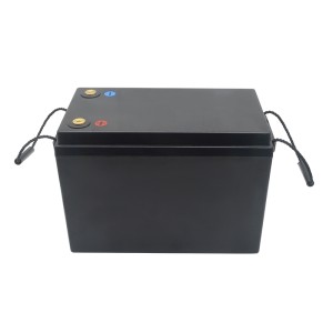 ABS 12V 100Ah M8 LiFePo4 Battery Pack With 100A/200A BMS