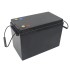 ABS 12V 100Ah M8 LiFePo4 Battery Pack With 100A/200A BMS