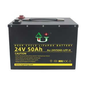 AU2450LA Metal LiFePo4 Battery Pack With M8 Screws High Rate 50A / 100A Constant Discharging